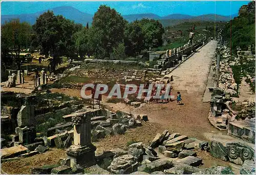 Cartes postales moderne Efes Turkiye Ephese Voie de Marbre