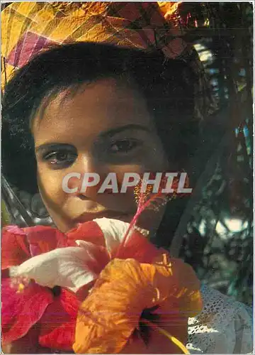 Cartes postales moderne Gleurs des Antilles