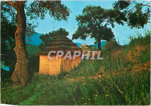 Cartes postales moderne Village d'Aighion