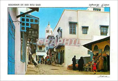 Cartes postales moderne Souvenir de Sidi Bou Said