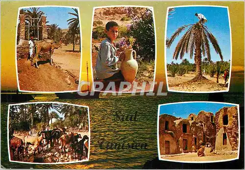 Cartes postales moderne Vues Pittoresque du Sud Tunisien