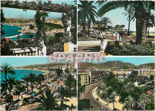 Cartes postales moderne La Cote d'Azur Souvenir de Nice