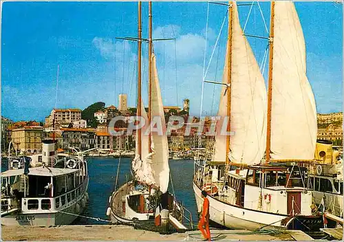 Cartes postales moderne Cannes Un coin du Port vue sur le Suquet Bateaux