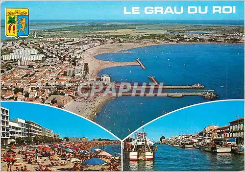 Cartes postales moderne Le Grau du Roi Gard Vue aerienne La plage de la rive gauche Le Canal