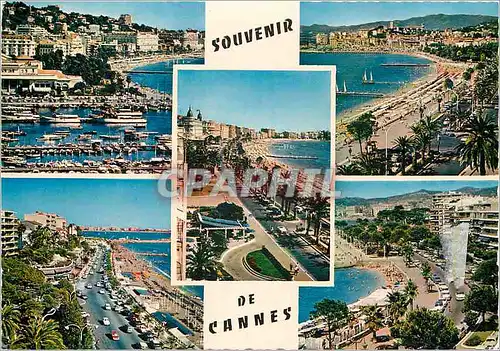 Moderne Karte Cannes AM Le Port le Casino municipal et la Croisette