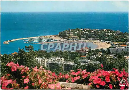 Cartes postales moderne La Cote d'Azur Cavalaire sur Mer Var Vue sur le Port