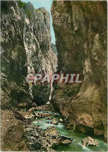 Cartes postales moderne Les Gorges du Verdon Var Alpes de Haute Provence