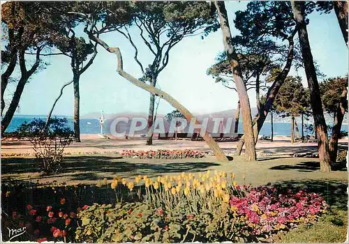 Cartes postales moderne La Cote d'Azur Juan les Pins La Pinede