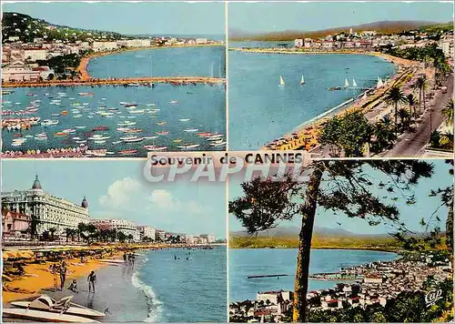 Cartes postales moderne Cannes Le Port Le Jardin L Croisette et Vue generale