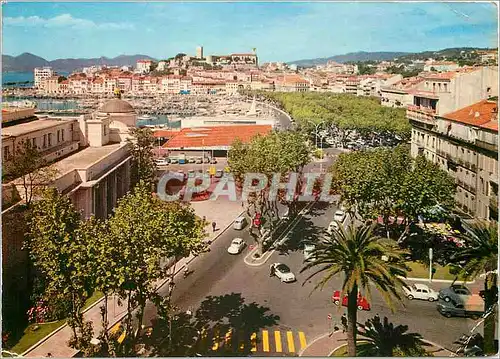 Moderne Karte Cannes Vue generale du Suquet et un coin du Port