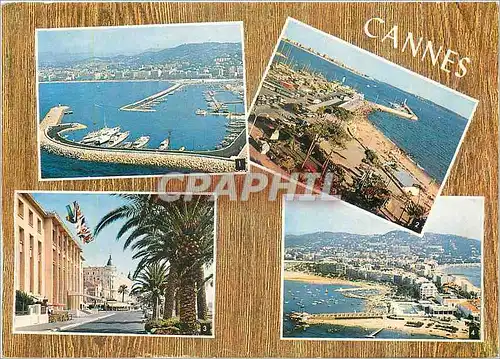 Moderne Karte Cannes Le nouveau Port La Plage du Midi au fond des Palm Beach