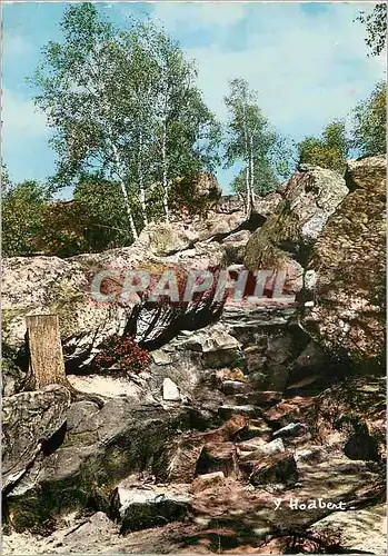 Moderne Karte En foret de Fontainebleau Seine et Mane Environs de Barbizon