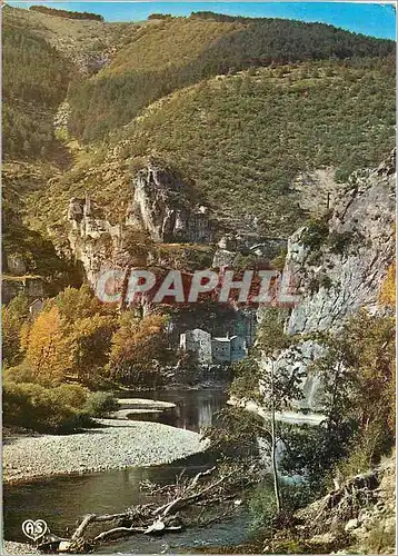 Cartes postales moderne En Parcourant les Gorges du Tarn Le Chateau de Castelbouc dominant la Vallee du Tarn