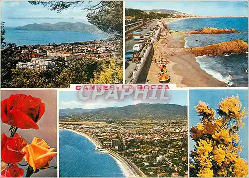 Cartes postales moderne La Cote d'Azur Cannes La Bocca