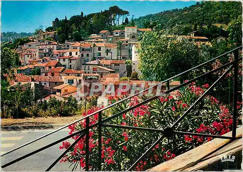 Moderne Karte Bormes les Mimosas Var Vue d'emsemble