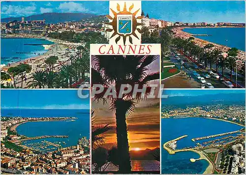 Cartes postales moderne Cannes Cote d'Azur French Riviera La Croisette Le nouveau port