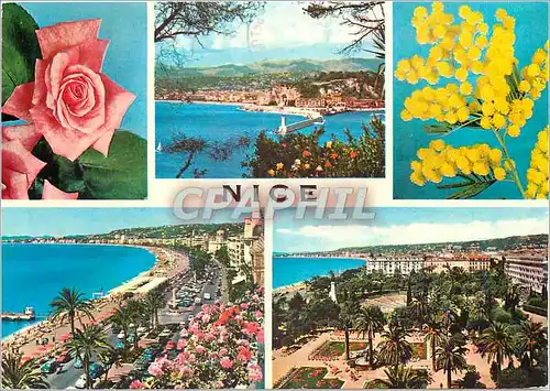 Cartes postales moderne Nice Cote d'Azur French Riviera Souvenir de Nice