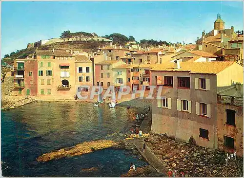 Cartes postales moderne La Cote d'Azur miracle de la nature Saint Tropez Var La Glaye