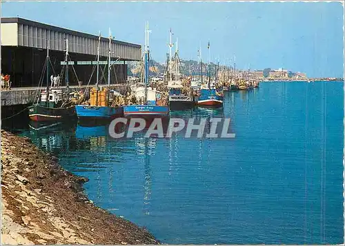 Cartes postales moderne Arcachon Gironde Le Port de Peche Bateaux