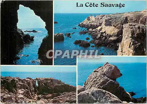 Cartes postales moderne La Bretagne Touristique Presqu'ile Guerandaise La Cote Sauvage