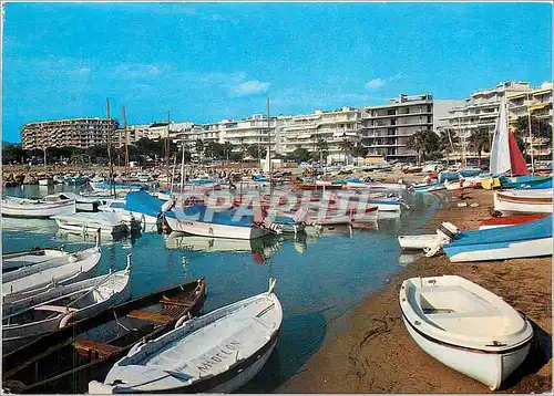 Cartes postales moderne Cannes La Plage et le Petit Port pres du Casino du Palm Beach