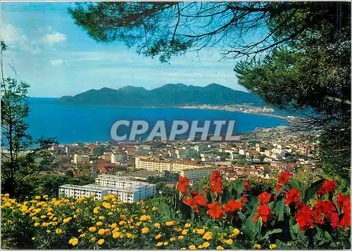 Cartes postales moderne La Cote d'Azur Cannes La Bocca Vue generale