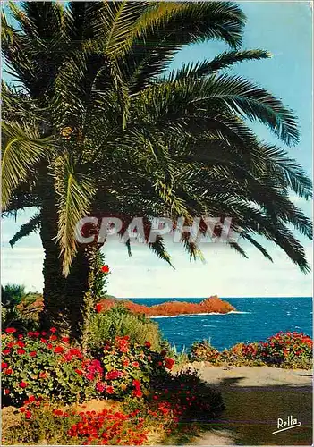 Moderne Karte La Cote d'Azur Jardin Fleuri au bord du rivage