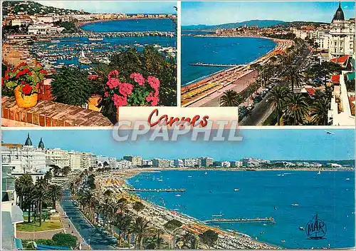 Moderne Karte La Cote d'Azur Cannes Le Port et la Croisette