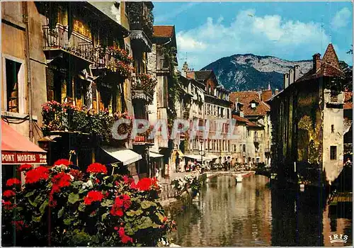 Cartes postales moderne Annecy La Venise Savoyarde Les vieux quartiers sur le canal du Thiou