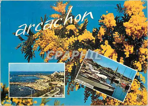 Cartes postales moderne Cote d'Argent Arcachon