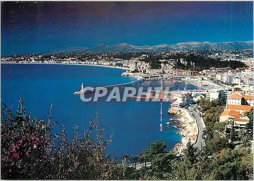 Cartes postales moderne Nice Alpes Maritimes Vue generale du Port au fond la Promenade des Anglais