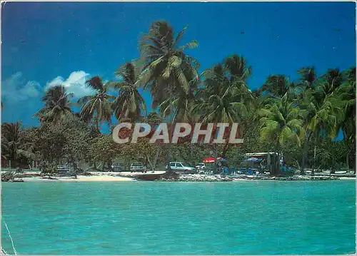 Cartes postales moderne Plage de Ste Anne