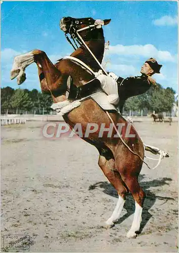 Moderne Karte Saumur Ecole de Cavalerie Courbette Cheval Militaria