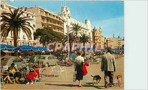 Cartes postales moderne La Cote d'Azur miracle de la natire Nice Alpes Maritimes