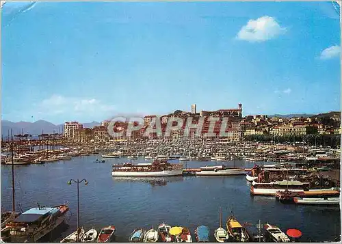 Cartes postales moderne Cannes Vue generale sur le Suquet et un coin du Port