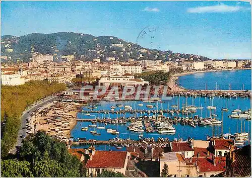 Cartes postales moderne Cannes Vue generale prise du Suquet