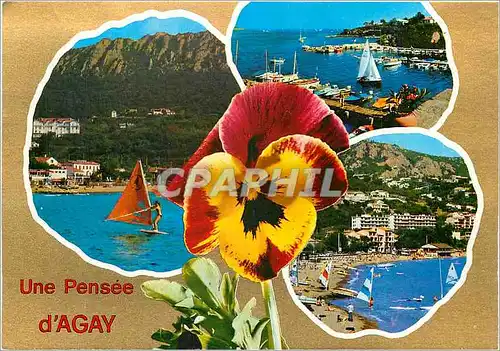 Cartes postales moderne Une Pensee d'Agay Var