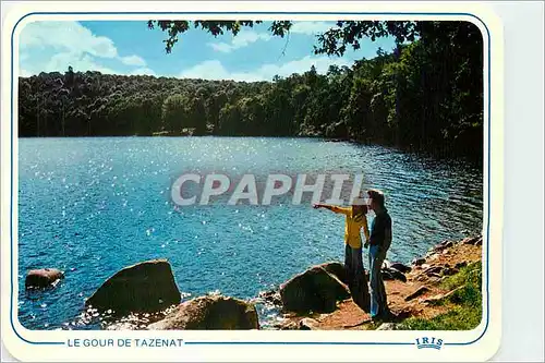 Cartes postales moderne Auvergne Gour de Tazenat Lac de cratere