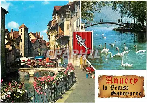 Cartes postales moderne Annecy Les quais fleuris du vieil Annecy sur le canal du Thiou Cygnes