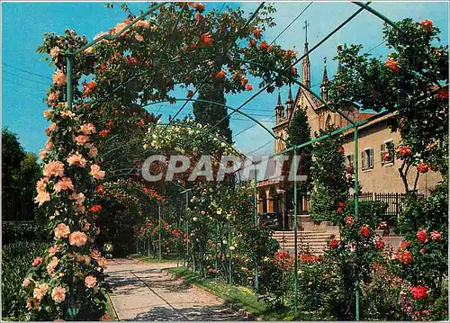 Cartes postales moderne Nice Alpes Maritimes Les jardins du Monastere de Cimiez