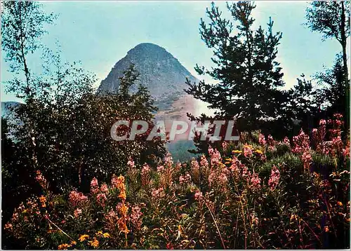 Moderne Karte Le Mont Gerbier de Joncs Source de la Loire