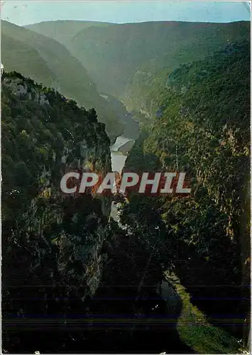 Cartes postales moderne Paysages du Vivarais Gorges de l'Ardeche