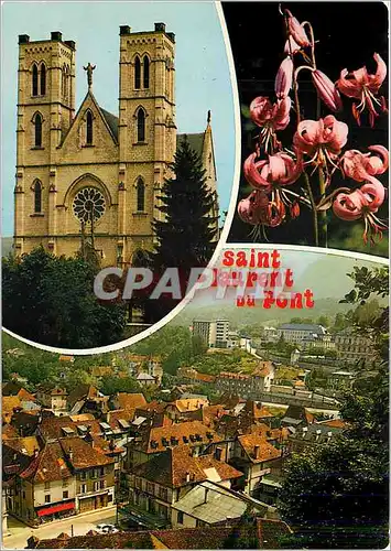 Cartes postales moderne Saint Laurent du Pont Isere