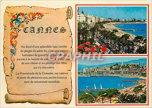 Cartes postales moderne Cote d'Azur French Rivera Cannes Alpes Maritimes