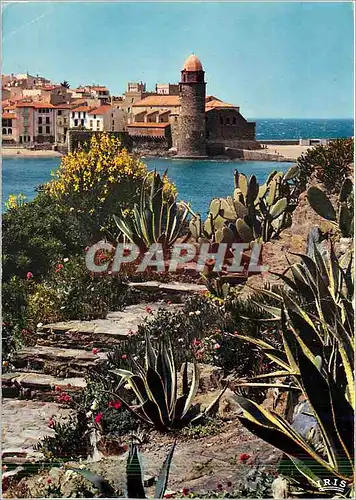 Moderne Karte Collioure Pyrenees Orientales joyau de la cote catalane Echappee sur l'eglise Saint Vincent et l