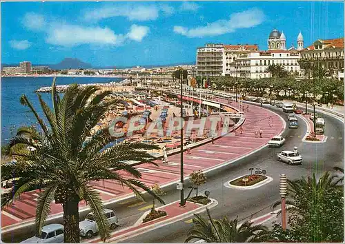 Cartes postales moderne Saint Raphael La Plage