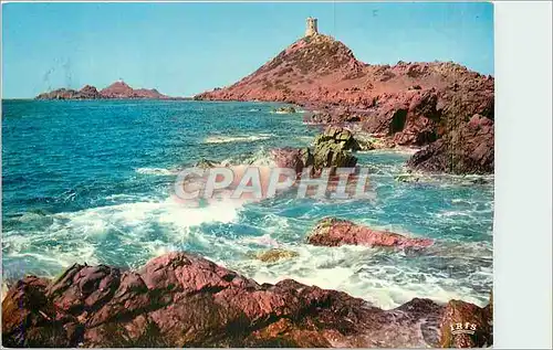 Cartes postales moderne Ajaccio Les fles Sanguinaires