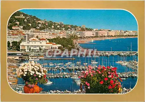 Cartes postales moderne Cannes AM Le Port et la Croisette vus du Mont Chevalier