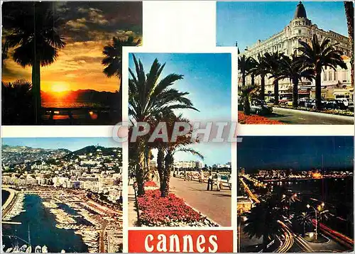 Moderne Karte Reflets de la Cote d'Azur Cannes A Mmes