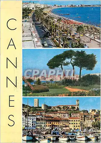 Moderne Karte Souvenir de Cannes